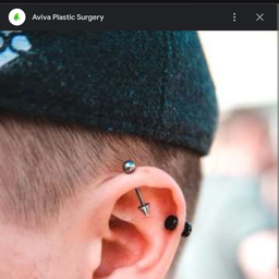 Will Steele