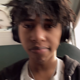novyt