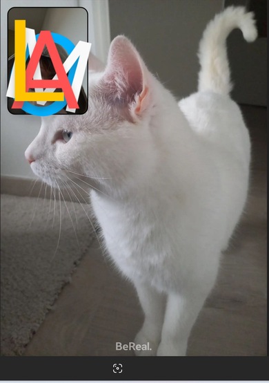 Malo